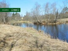 Maatükk metsasaluga Pärnu jõekäärus.