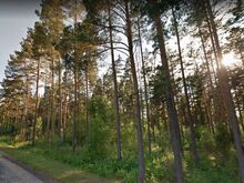 Männimets Värska lahe kaldal