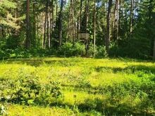 Müüa parima asukohaga kinnistu Narva-Jõesuus