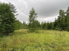 Ehitusvõimalusega kinnistu