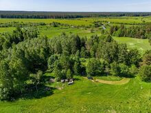 Privaatne 4,3 ha kinnistu Mustjõe naabruses