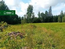 Kinnistu mis piirneb Häädemeeste forellirikka jõega!