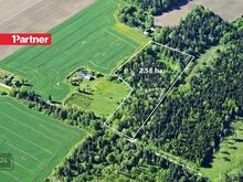 2.6 ha metsamaad Tamsalu linna lähedal!