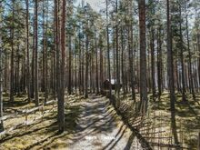 Uus hind! Meri, männimets ja vabadus!