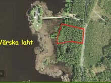 Imeilus männimets Pihkva järve kaldal.