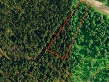 Avar männimetsane elamumaa Aruküla parkmetsas