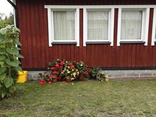 Suvila Tammistes/Pärnus
