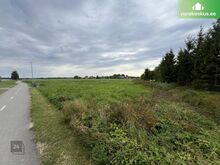 Arendusperspektiiviga Vainu kinnistu