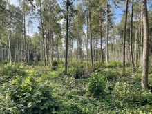 Merevaatega kinnistu.