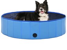 vidaXL kokkupandav koertebassein, sinine, 120 x 30 cm, PVC
