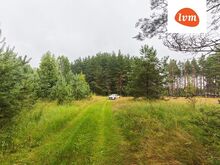 Looduslikult kaunis kinnistu Peipsi ligidal!