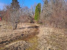 Privaatne elamumaa Kohila alevis – Krookuse 6