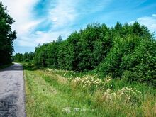 Ehitusvõimalusega kinnistu merest 2,5 km