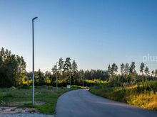 Suur metsaäärne elamukrunt