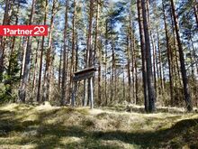 Metsahundi — ranniku varjatud pärl