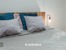 Korter on koheselt sissekolimiseks vaba!