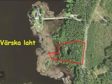 Imeilus männimets Pihkva järve kaldal.