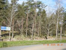 Kohilas männi metsas  kinnistu maja ehituseks