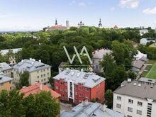 Topeltkorter Kassisabas - osta üks, üüri kaks!
