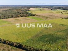 Pea 2,4 ha elamumaad, elektriliitumine ja asfaltee
