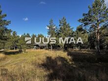 Müüa kena männimetsaga kinnistu suvila ehituseks! Vesi+ elekter