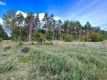 Kinnistu Mändjala metsade rüpes.