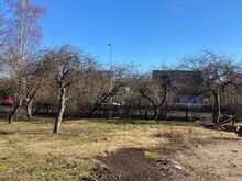 Elamumaa Talve tänaval!