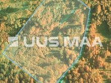 Lehtpuumetsaga kinnistu, tiik, elektriliitumine.