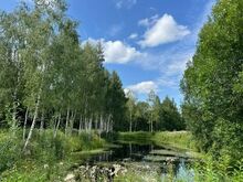 SUURE TIIGIGA MAAKODU