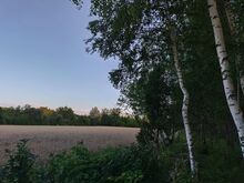 Parkmetsaga kinnistu, 1 km merest