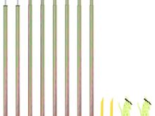 vidaXL päikesepurje postid, 2 tk 250 cm, tsingitud teras