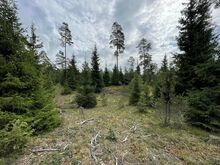 Ilus ja päikseline kinnistu Koki külas