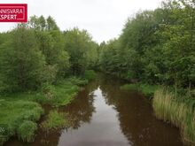 Müüa looduslikult kaunis ja rahulikus kohas asuv kinnistu