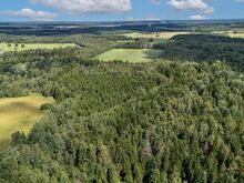 Müüa metsa ja ojaga krunt Tallinna piirist 22km!