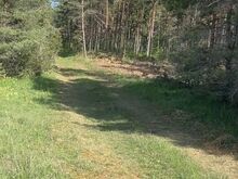 Metsane maatükk mere lähedal, krundil elekter