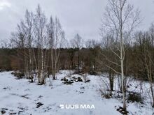6146 m² PRIVAATNE KINNISTU TALLINNA LÄHEDAL