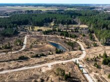 Suurem metsaäärne kinnistu