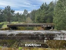 Müüa maatükk männimetsas!