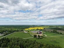 Nurgapealne kinnistu arenevas piirkonnas
