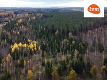 Kinnistu otse jõe kaldal!