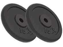 vidaXL kangi kettad, 2 tk, 2x10 kg, malm
