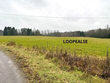 LOOKÜLA UUED PAKKUMISED!