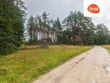 Suur kinnistu metsaga Peipsi ligidal!