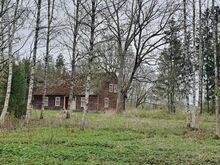 KÕRGHALJASTUS, METSATUKK, PRIVAATSUS