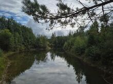 Võimalik luu uus kodu või suvila!