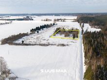 SUUR METSAÄÄRNE KINNISTU TARTUMAAL