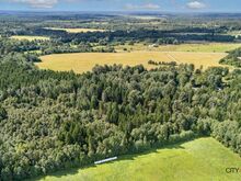 Müüa metsaga kaetud krunt!