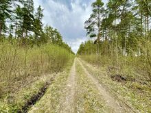 Privaatne kinnistu Kuressaare lähedal.