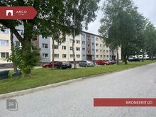 BRONEERITUD