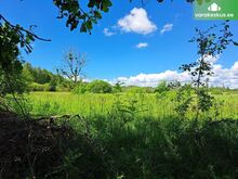 Uibu - looduskaunis kinnistu Võrumaal! UUS HIND!